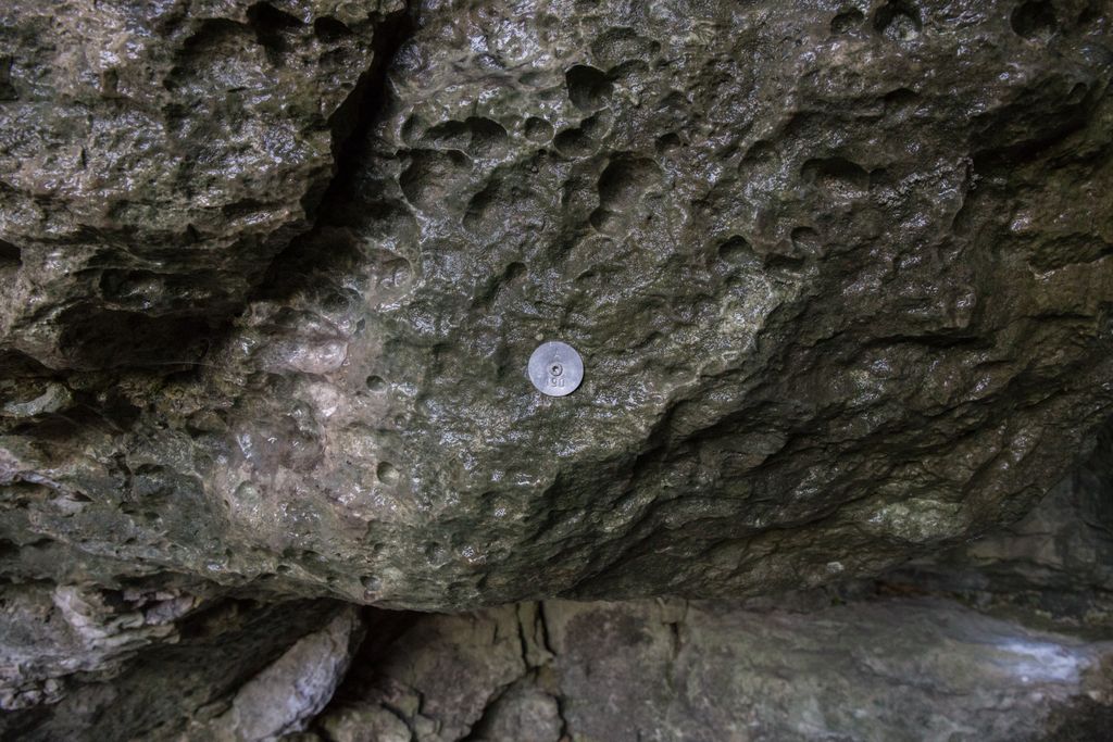 Photo №2 of ZZ Top Grotte