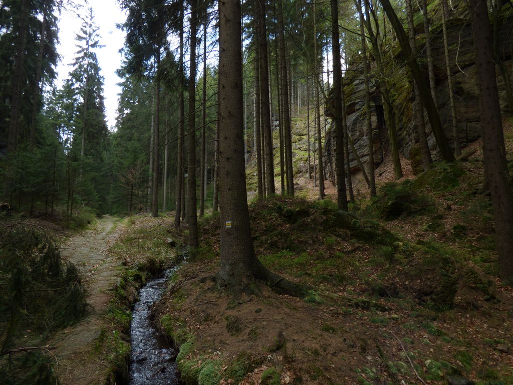 Photo №2 of Krabice na sušenky