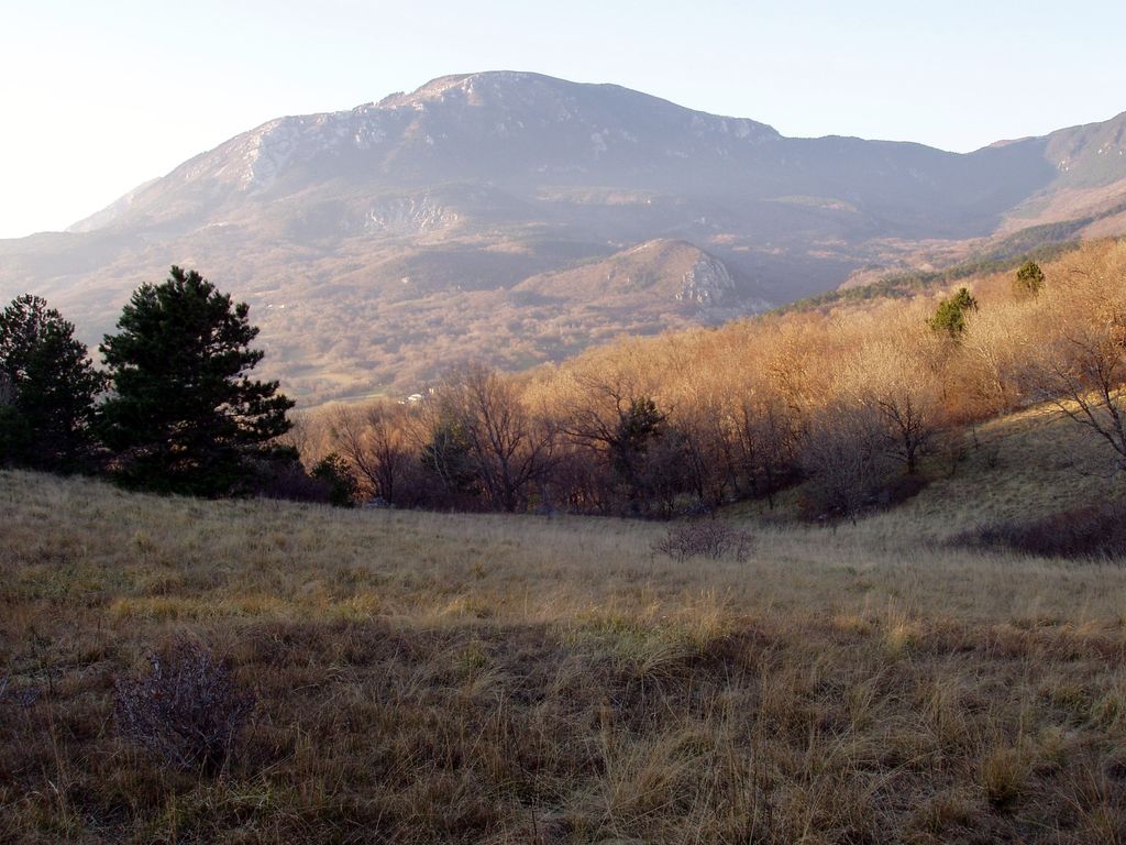 Photo №3 of Čaven
