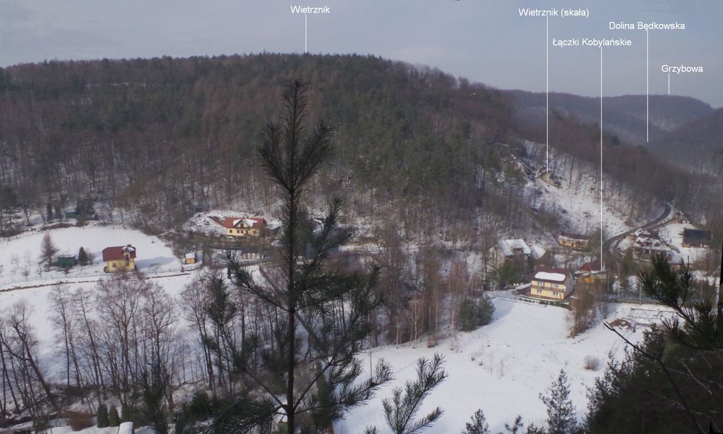 Grzybowa Góra