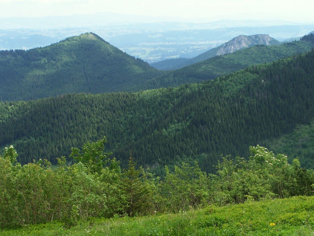 Photo №2 of Przełęcz w Grzybowcu