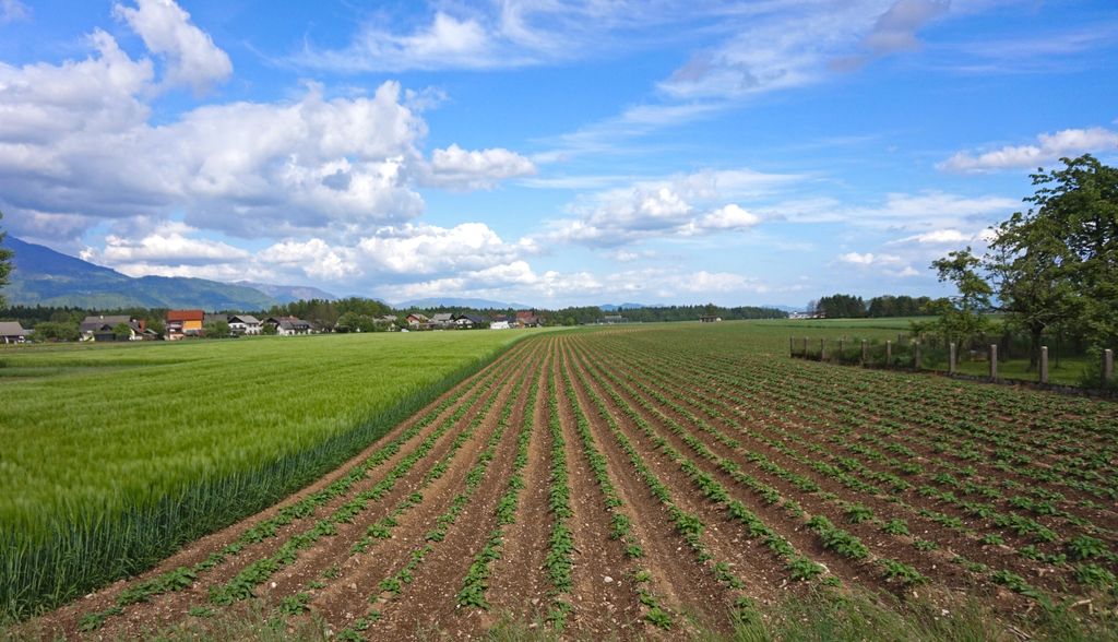 Photo №7 of Šenčur