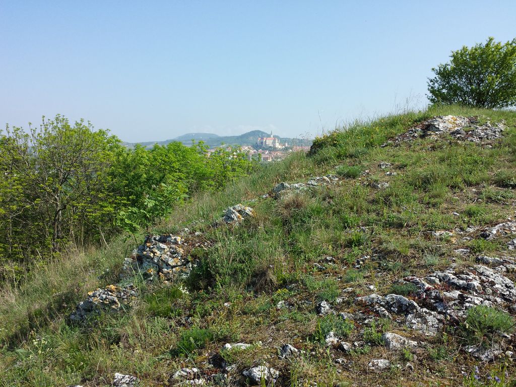 Photo №2 of Šibeniční vrch [Mikulov na Moravě]