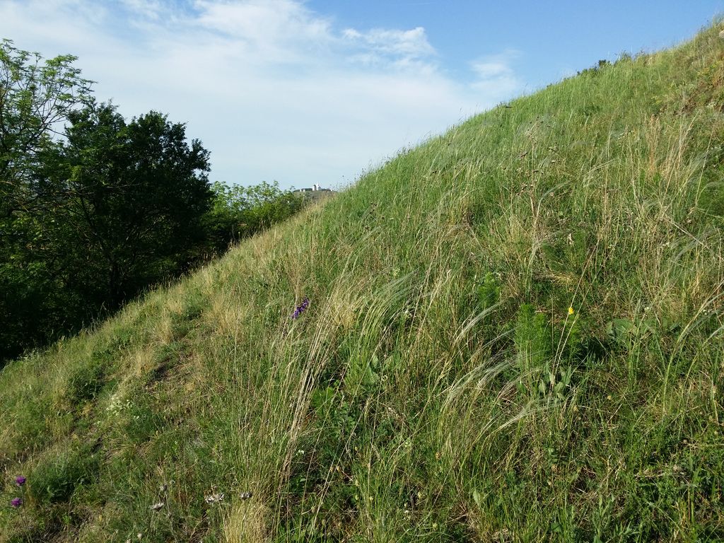 Photo №8 of Šibeniční vrch [Mikulov na Moravě]