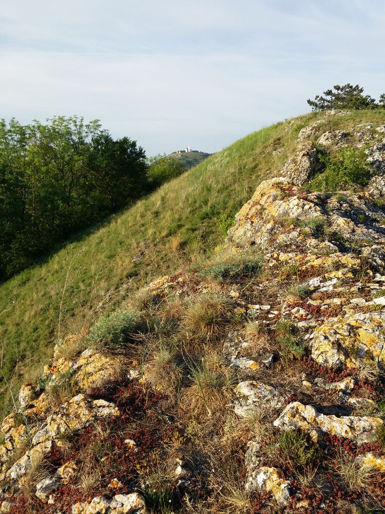 Photo №10 of Šibeniční vrch [Mikulov na Moravě]