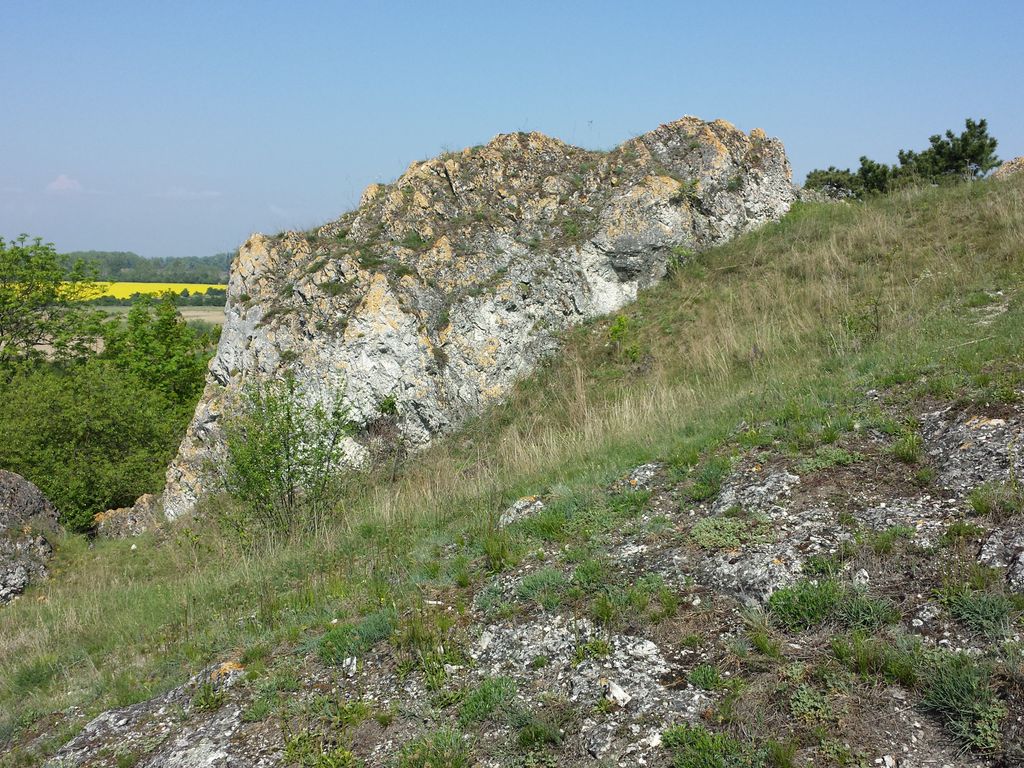 Photo №3 of Šibeniční vrch [Mikulov na Moravě]