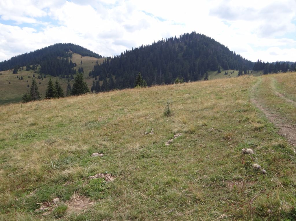 Photo №2 of Vyšné Šiprúnske sedlo