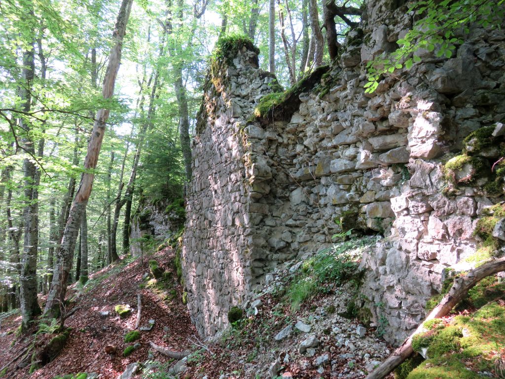 Photo №5 of Stari grad