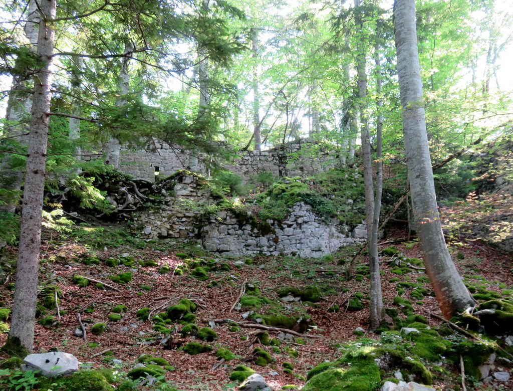 Photo №7 of Stari grad
