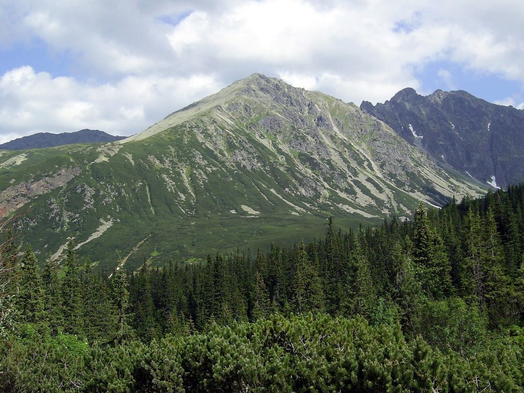 Photo №3 of Żółta Turnia