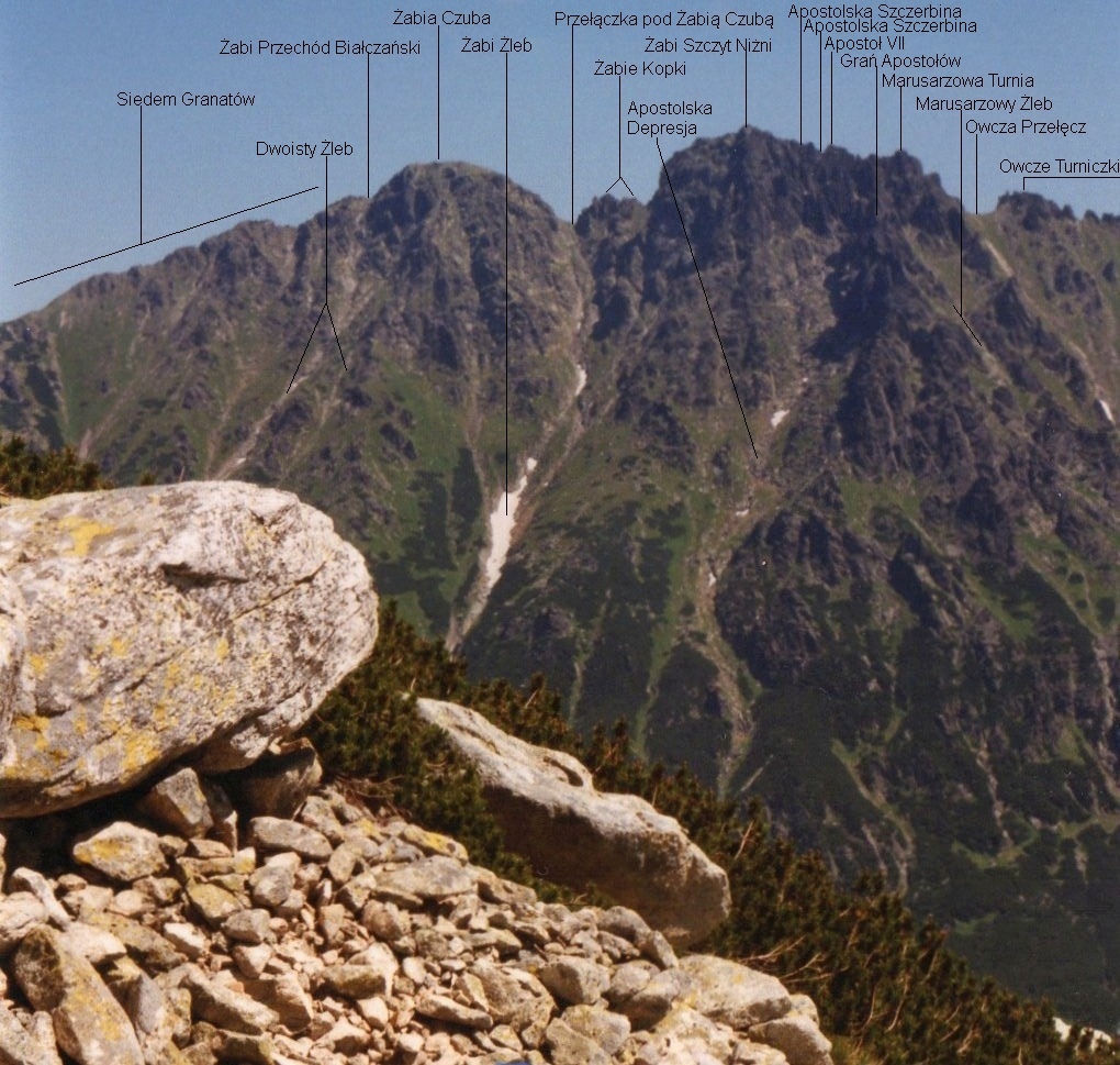 Photo №3 of Żabia Czuba