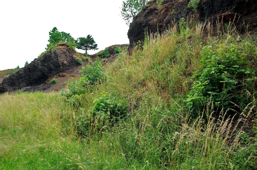 Photo №9 of Železná hůrka