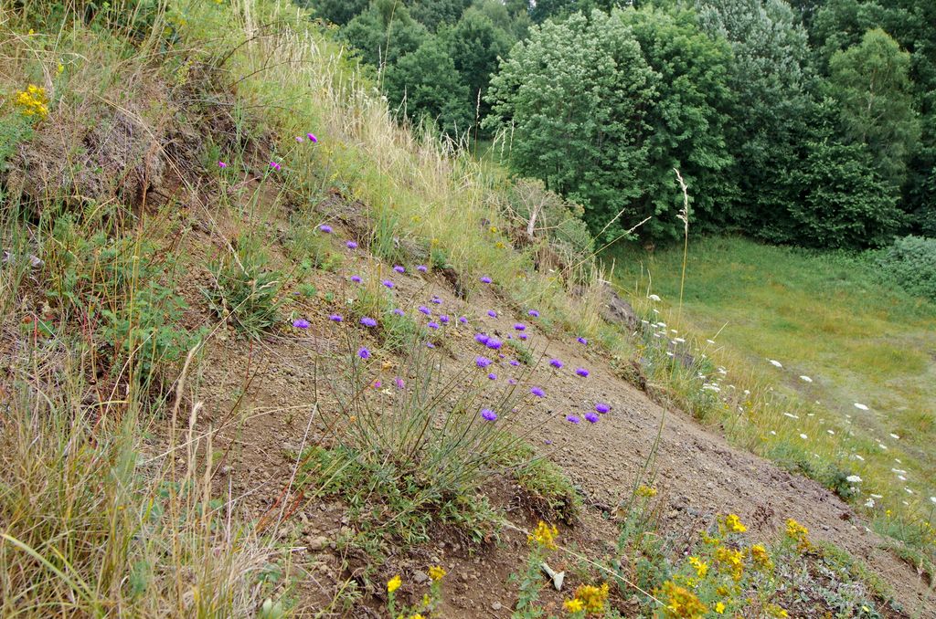 Photo №10 of Železná hůrka