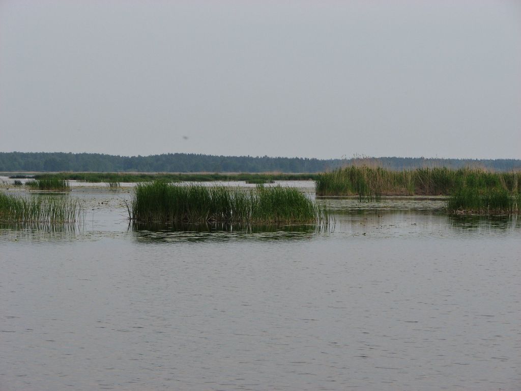 Photo №2 of Babītes ezers