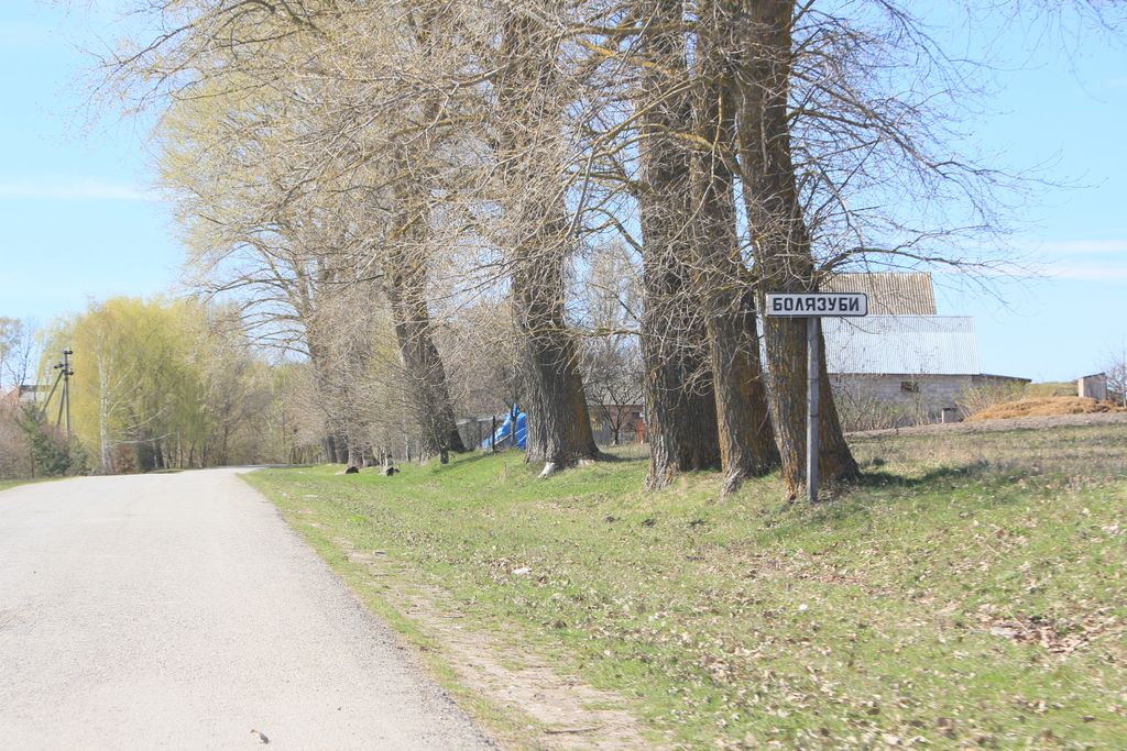 Photo №2 of Boliazuby