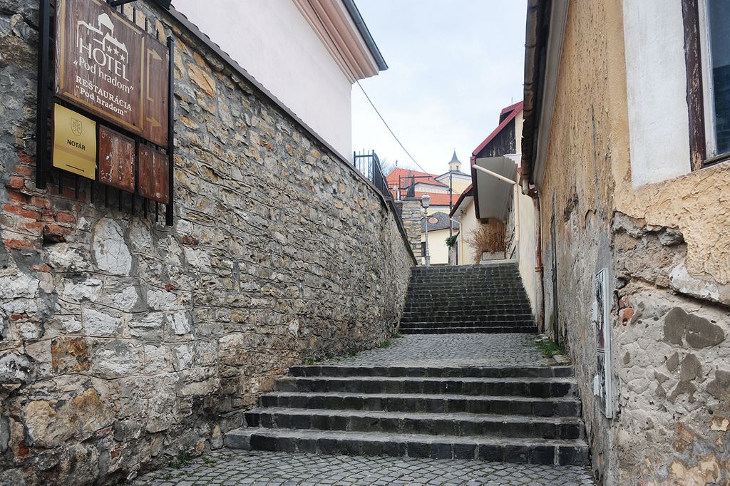 %D0%9B%D0%B5%D1%81%D0%BD%D0%B8%D1%86%D0%B0_%D0%BA_%D0%B7%D0%B0%D0%BC%D0%BA%D1%83_-_panoramio