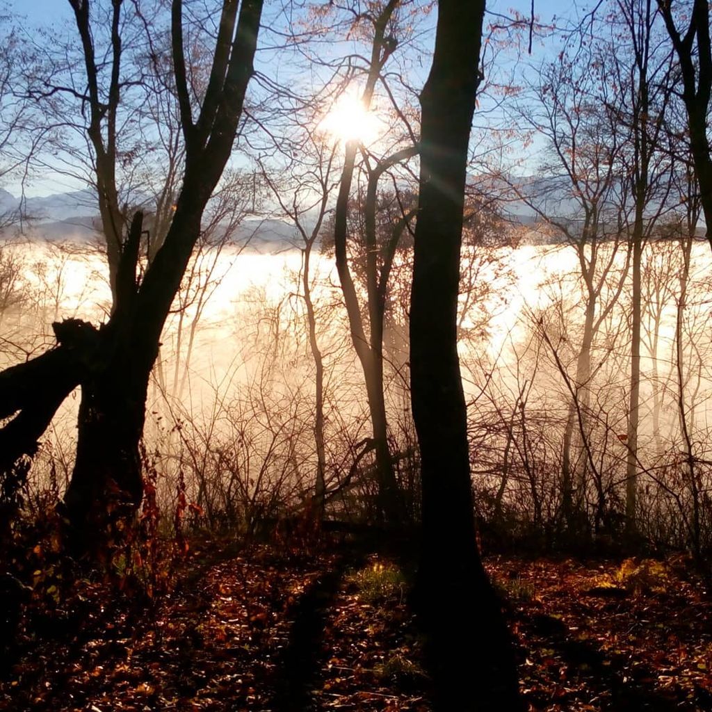 Photo №1 of Nartiya