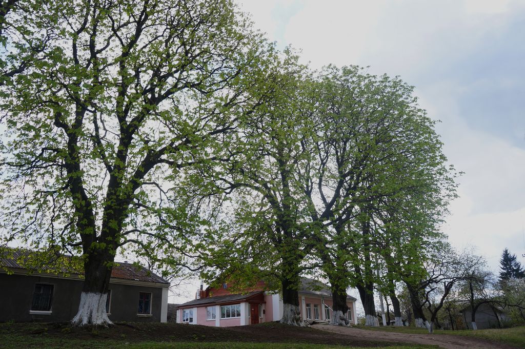 Photo №3 of Teofipol