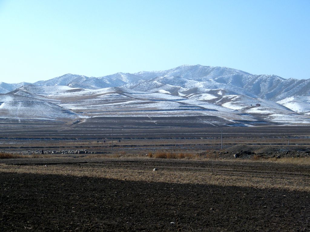 Photo №3 of Shiguai