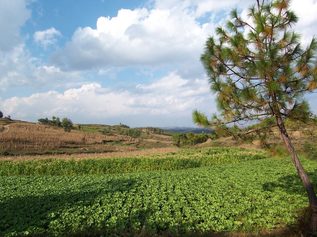 Photo №3 of Weining