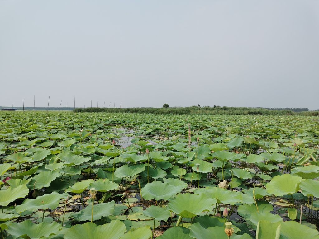 Photo №2 of Nansi Lake