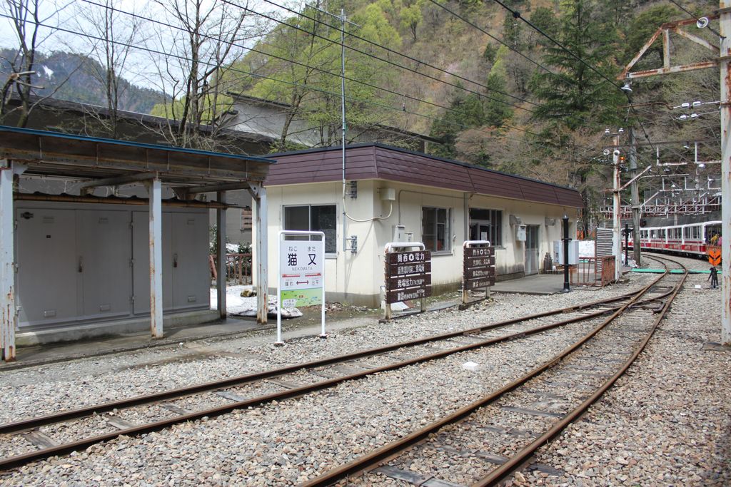 Photo №3 of Nekomata