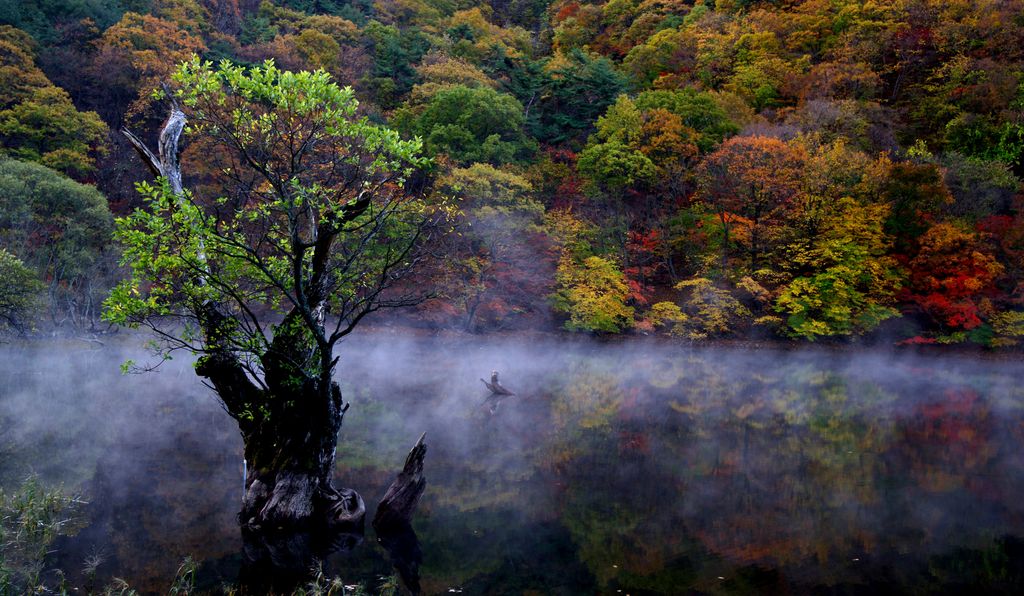Photo №2 of Juwangsan