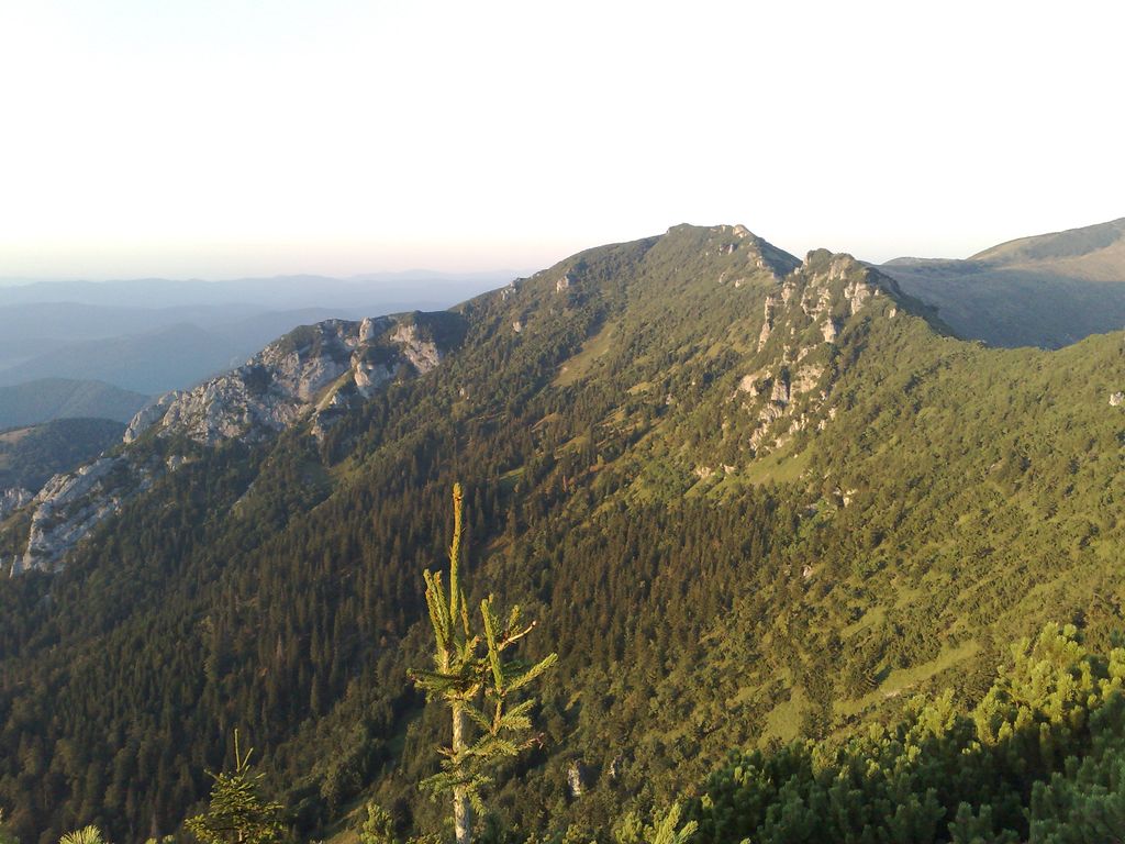 Suchý