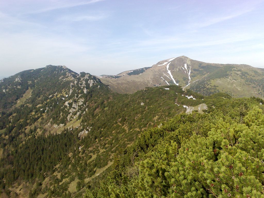Suchý