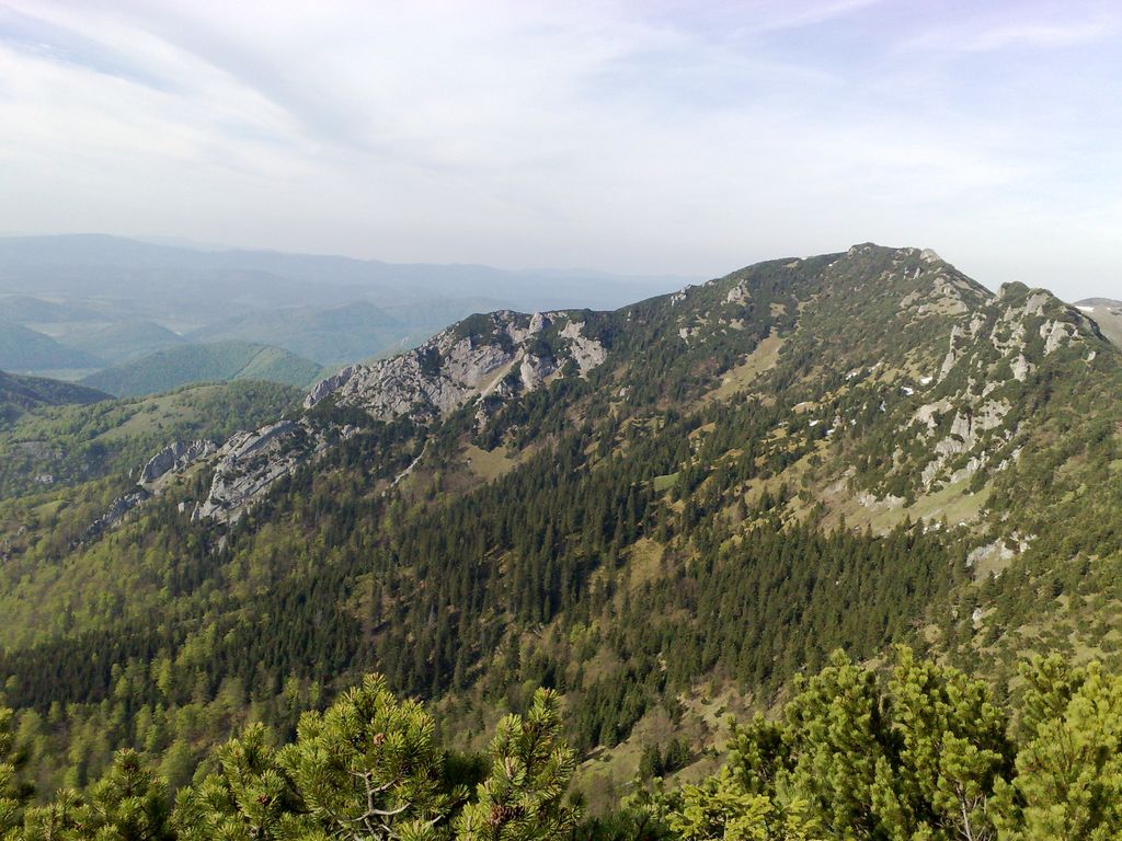 Suchý