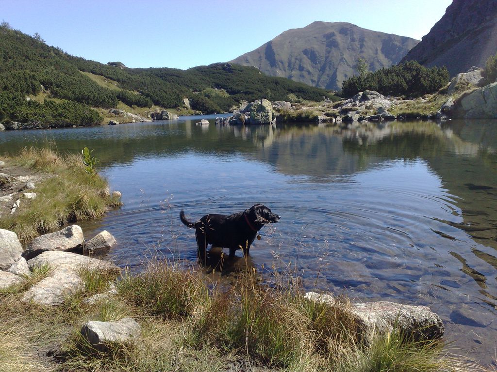 Photo №6 of Štvrté Roháčske pleso