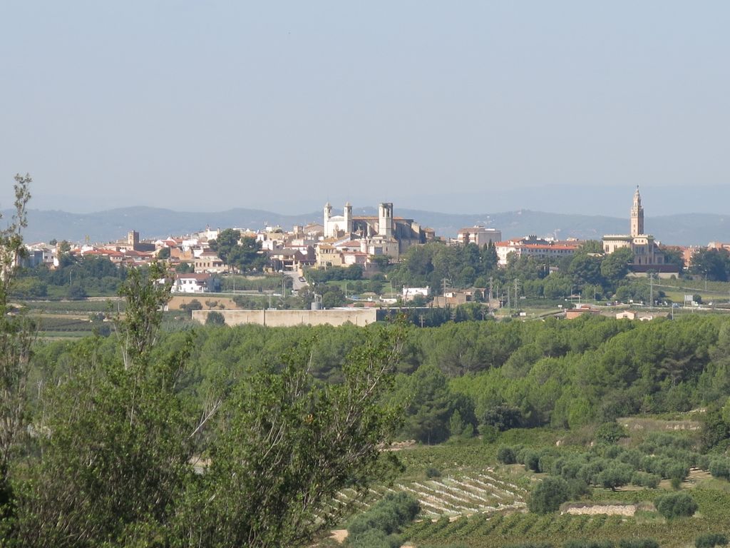 Photo №3 of L'Arboç