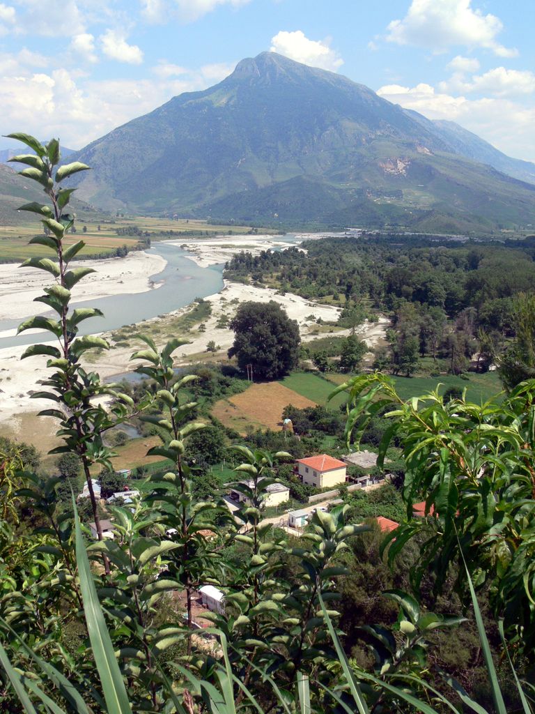 Photo №2 of Tepelena