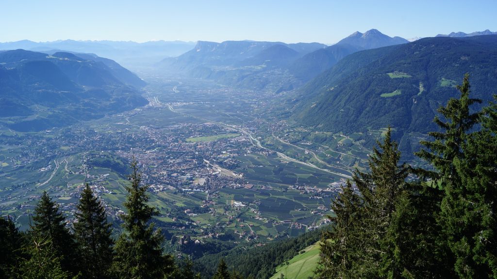 Photo №3 of Mutkopf