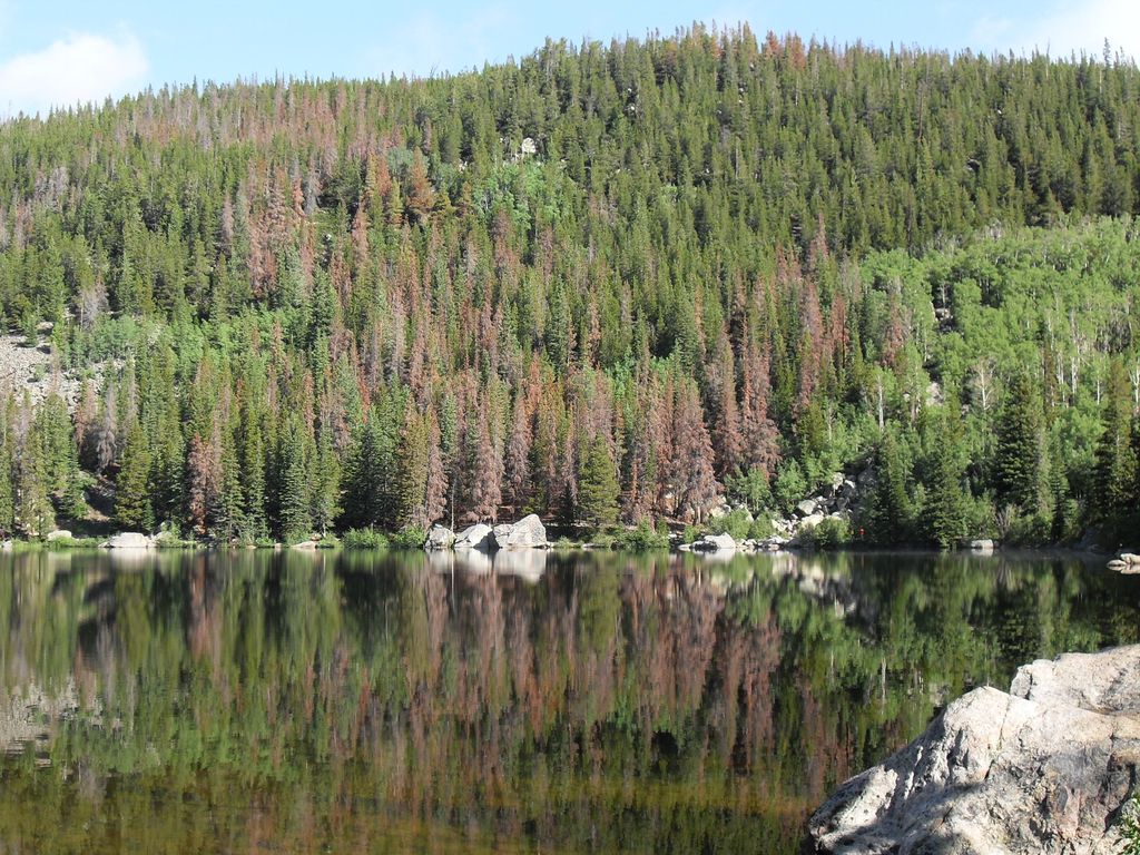 Photo №4 of Bear Lake