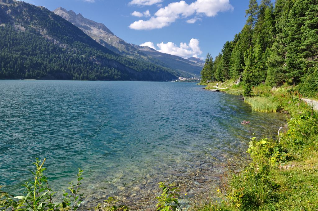Photo №7 of Lake Silvaplana