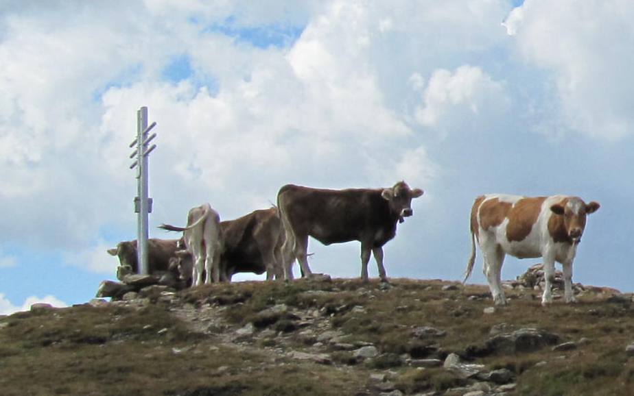 Photo №2 of Watles - Monte Vatles