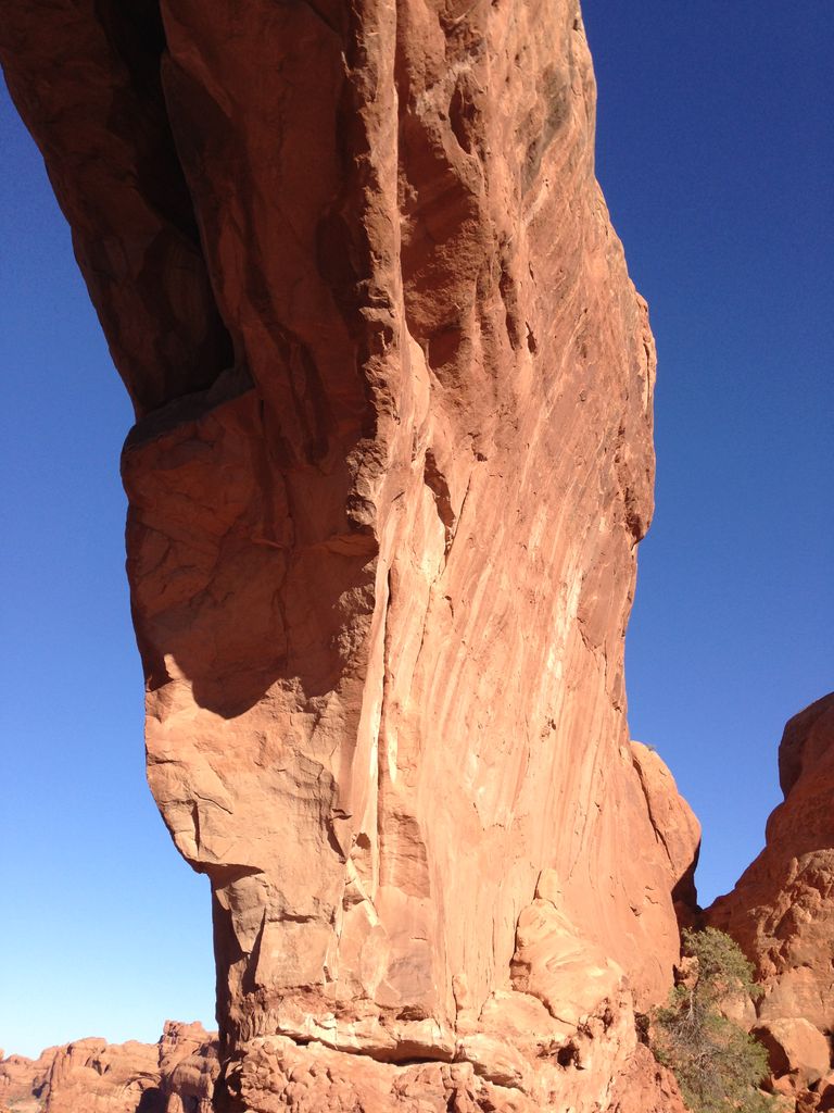 Photo №4 of Jacks Mummy