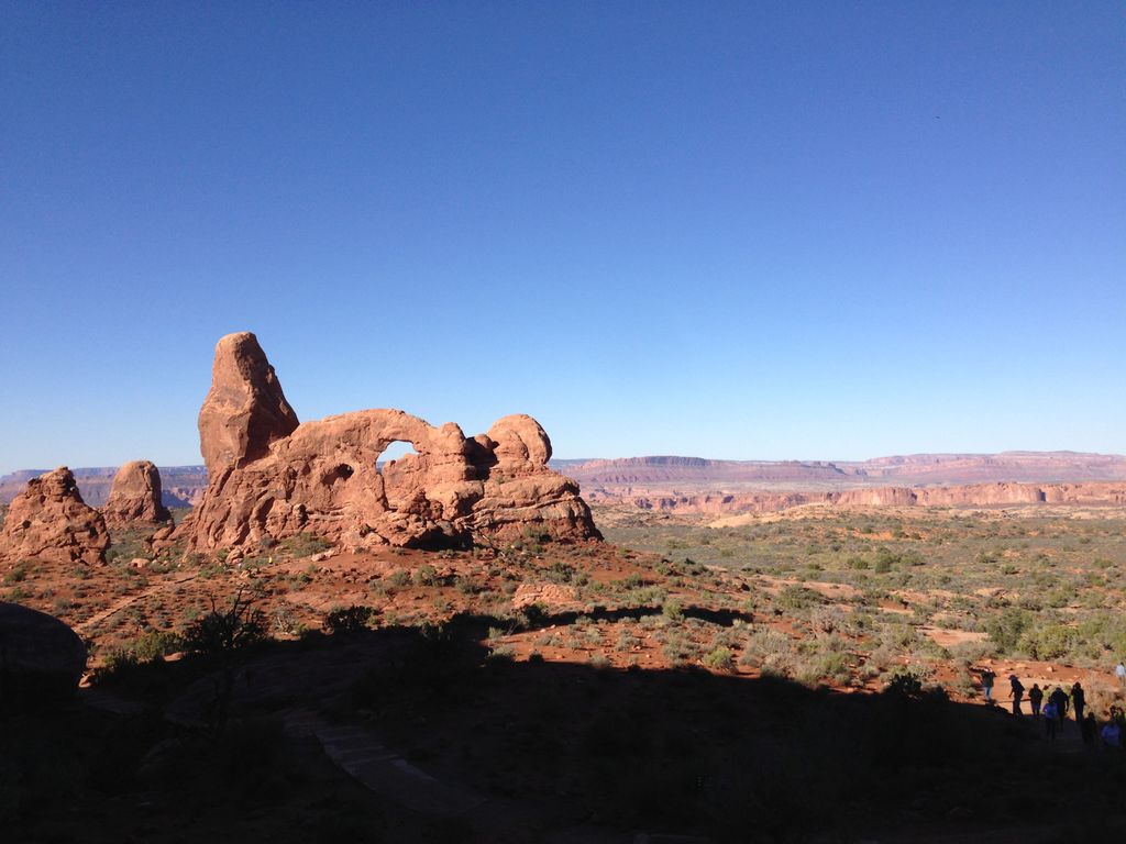 Photo №3 of Jacks Mummy