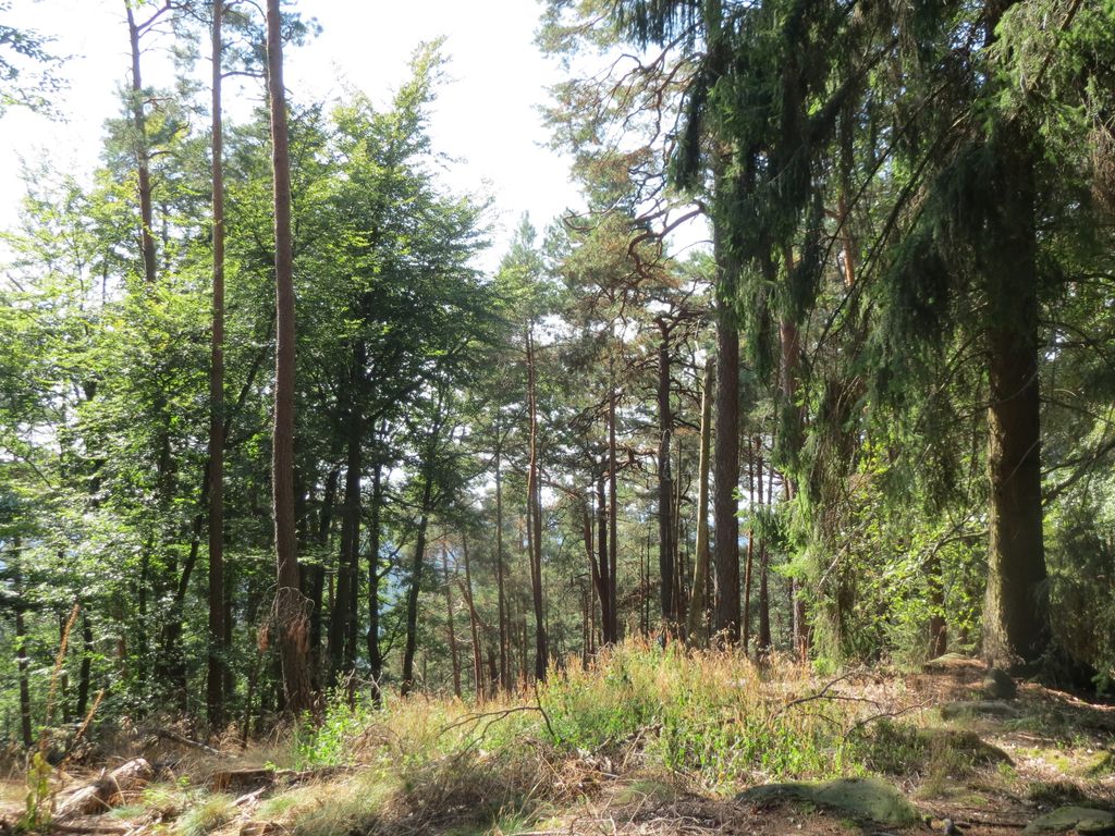 Photo №1 of Abtskopf