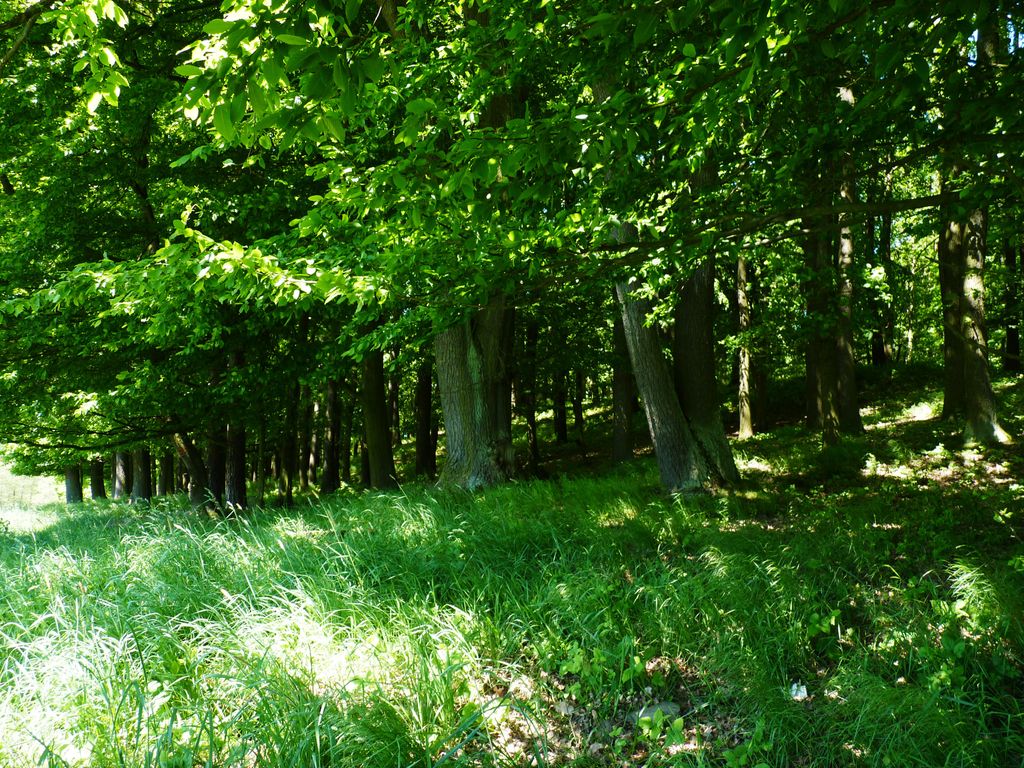 Photo №2 of Maják