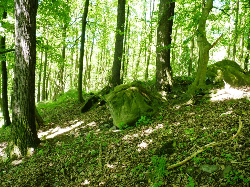 Photo №4 of Maják