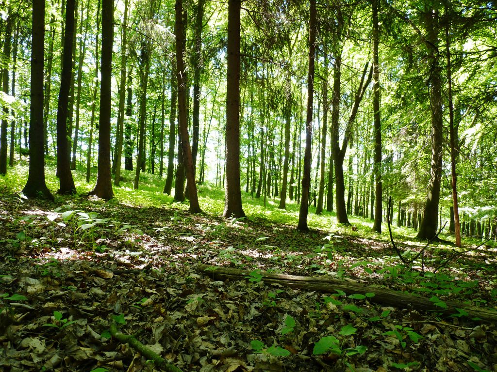 Photo №6 of Maják