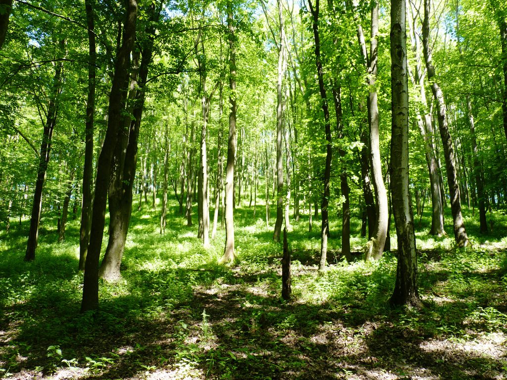 Photo №10 of Maják