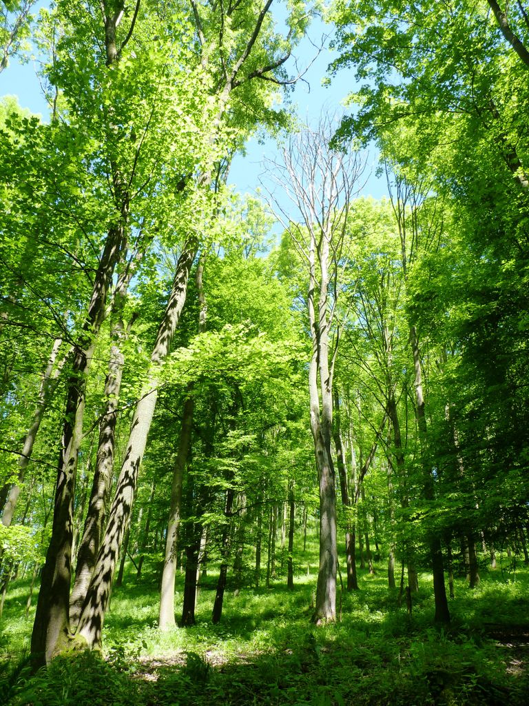 Photo №9 of Maják