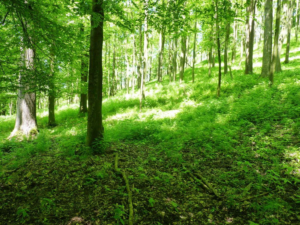 Photo №8 of Maják