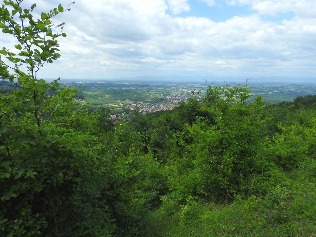 Photo №2 of Schneeberg