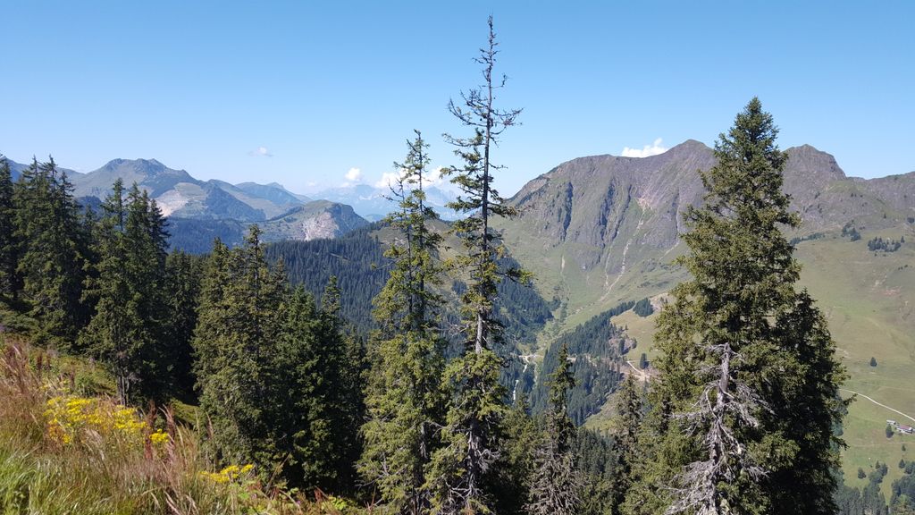 Photo №4 of Kohlmaiskopf