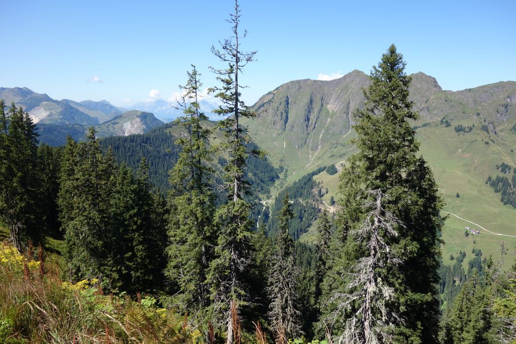 Photo №6 of Kohlmaiskopf