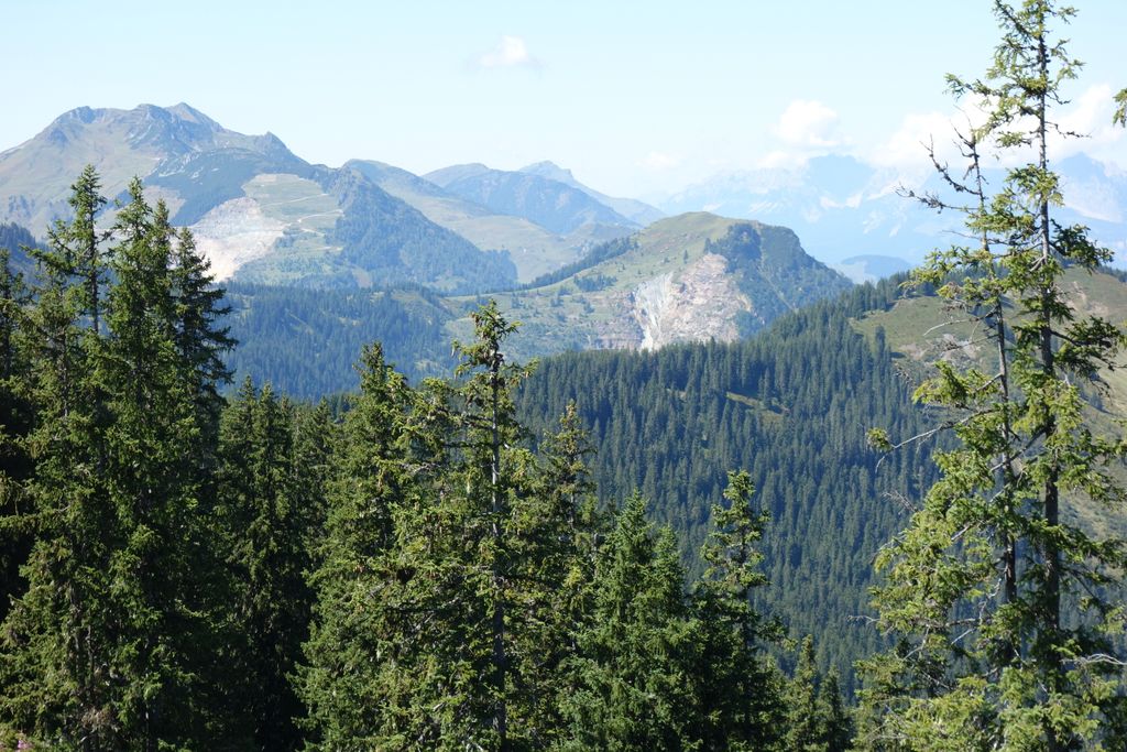 Photo №5 of Kohlmaiskopf